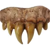 Trick Or Treat Studios Bitemares Horror Teeth - Vampire Master